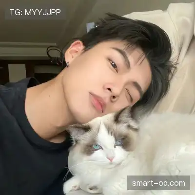 窦耿禹